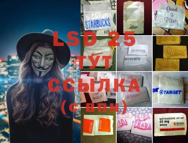 PSILOCYBIN Ессентукская