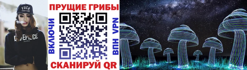 Псилоцибиновые грибы ЛСД Архангельск