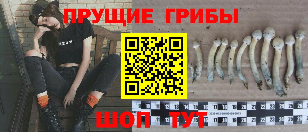 Галлюциногенные грибы GOLDEN TEACHER Архангельск