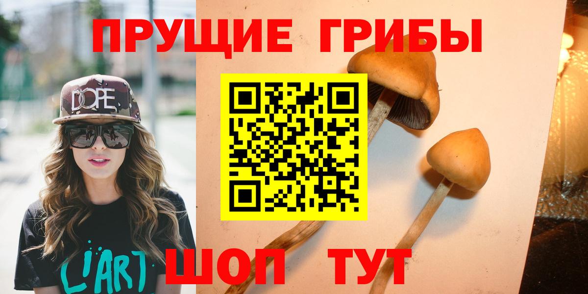 Псилоцибиновые грибы GOLDEN TEACHER Архангельск